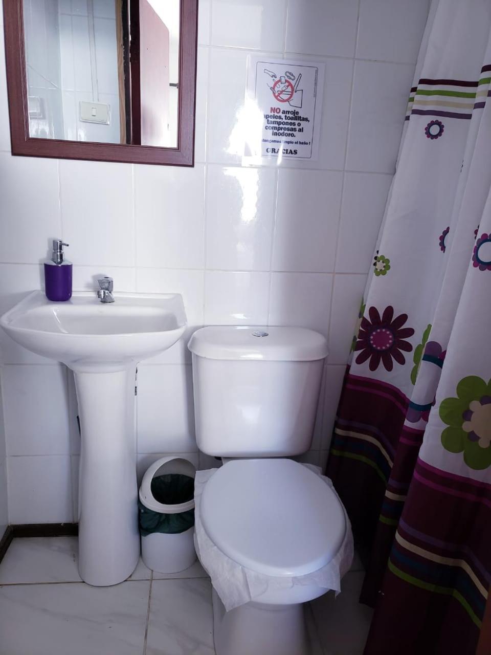 Hostal Arrayan Valdivia Exteriér fotografie