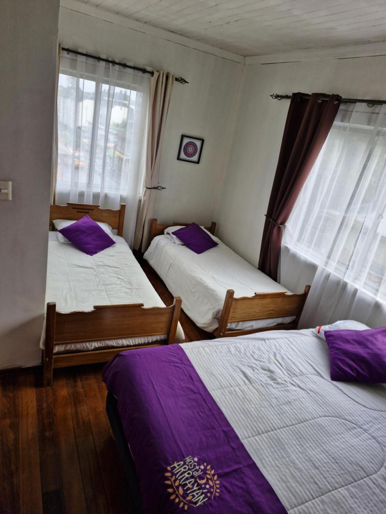 Hostal Arrayan Valdivia Exteriér fotografie